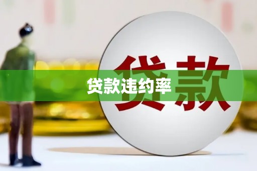 南庄贷款违约率
