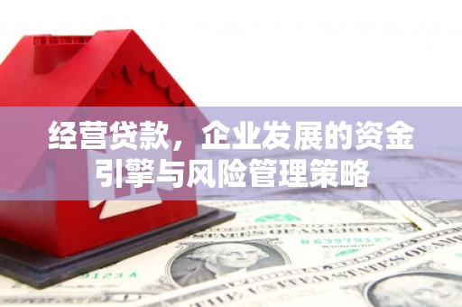 南庄经营贷款，企业发展的资金引擎与风险管理策略