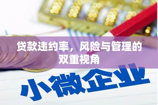 南庄贷款违约率，风险与管理的双重视角