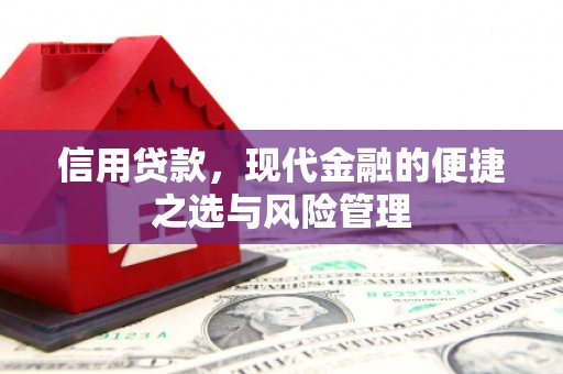 南庄信用贷款，现代金融的便捷之选与风险管理