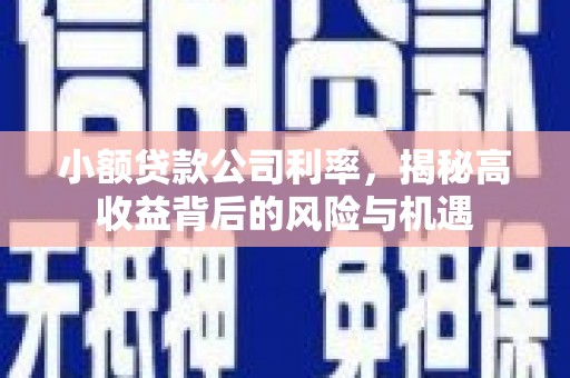 南庄小额贷款公司利率，揭秘高收益背后的风险与机遇