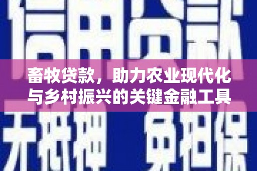 南庄畜牧贷款，助力农业现代化与乡村振兴的关键金融工具