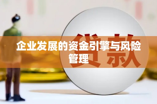 南庄企业发展的资金引擎与风险管理