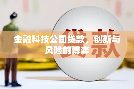 南庄金融科技公司贷款，创新与风险的博弈