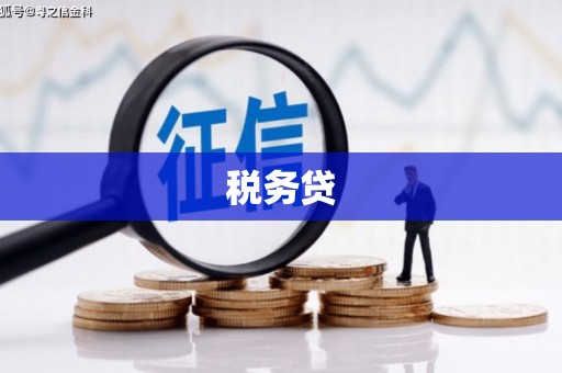 南庄税务贷