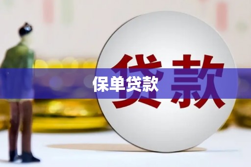南庄保单贷款