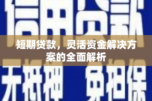 南庄短期贷款，灵活资金解决方案的全面解析