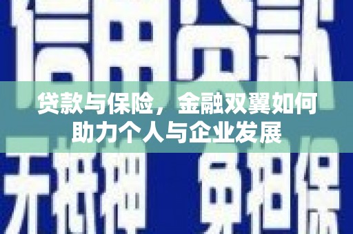 南庄贷款与保险，金融双翼如何助力个人与企业发展