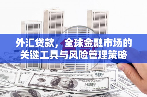 南庄外汇贷款，全球金融市场的关键工具与风险管理策略