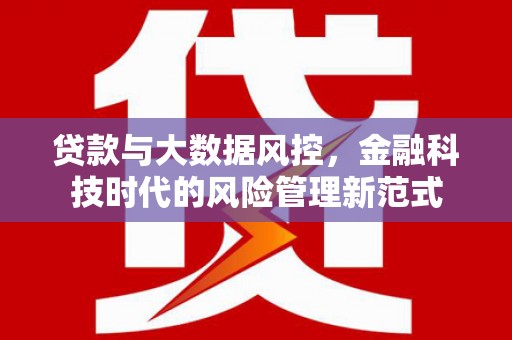 南庄贷款与大数据风控，金融科技时代的风险管理新范式