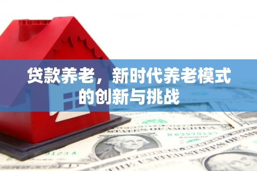 南庄贷款养老，新时代养老模式的创新与挑战
