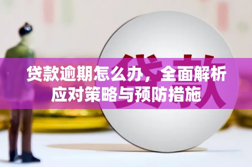 南庄贷款逾期怎么办，全面解析应对策略与预防措施