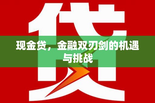 南庄现金贷，金融双刃剑的机遇与挑战