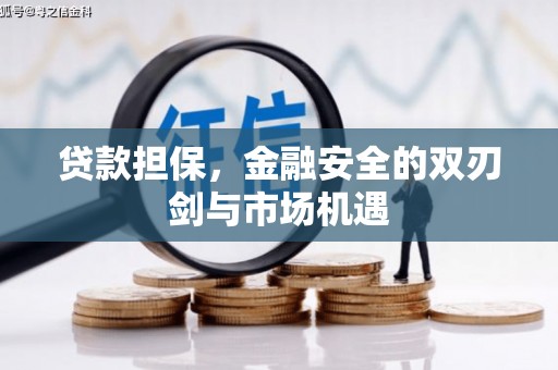 南庄贷款担保，金融安全的双刃剑与市场机遇