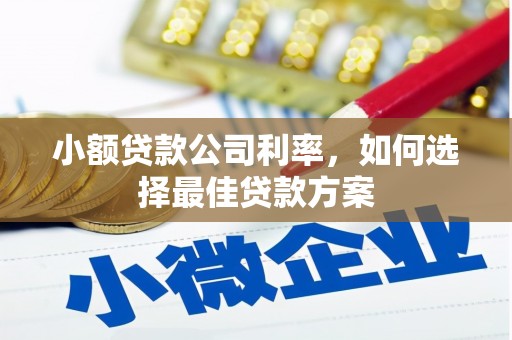南庄小额贷款公司利率，如何选择最佳贷款方案