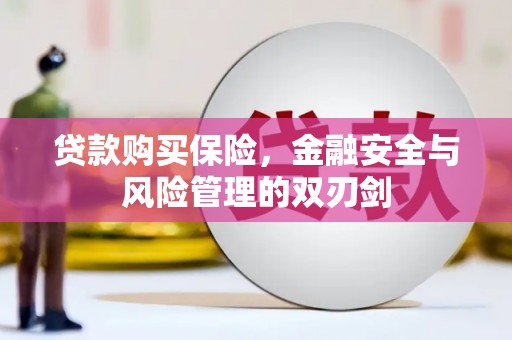 南庄贷款购买保险，金融安全与风险管理的双刃剑