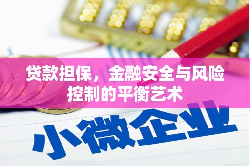 南庄贷款担保，金融安全与风险控制的平衡艺术