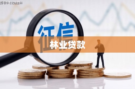 南庄林业贷款