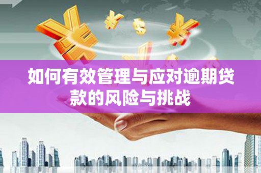 南庄如何有效管理与应对逾期贷款的风险与挑战