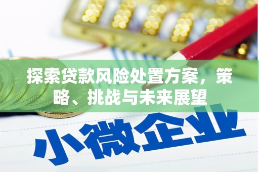 南庄探索贷款风险处置方案，策略、挑战与未来展望
