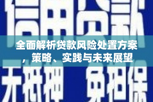 南庄全面解析贷款风险处置方案，策略、实践与未来展望