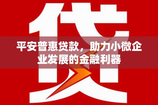 南庄平安普惠贷款，助力小微企业发展的金融利器