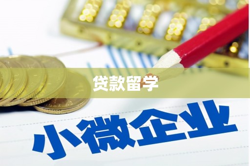 南庄贷款留学