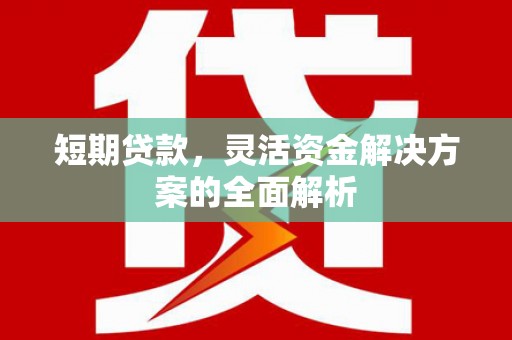 南庄短期贷款，灵活资金解决方案的全面解析