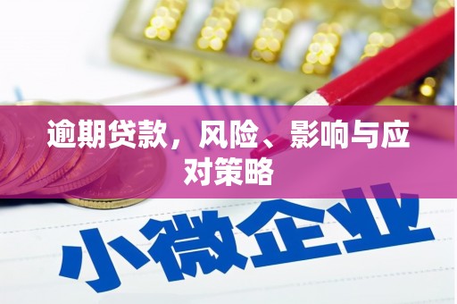 南庄逾期贷款，风险、影响与应对策略