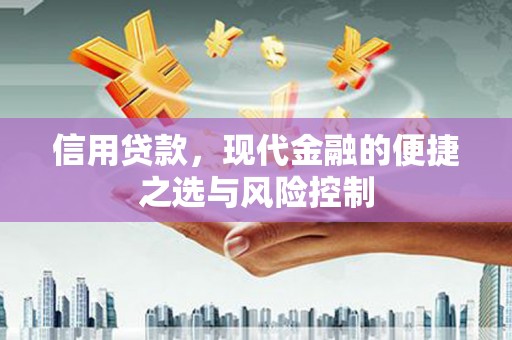 南庄信用贷款，现代金融的便捷之选与风险控制
