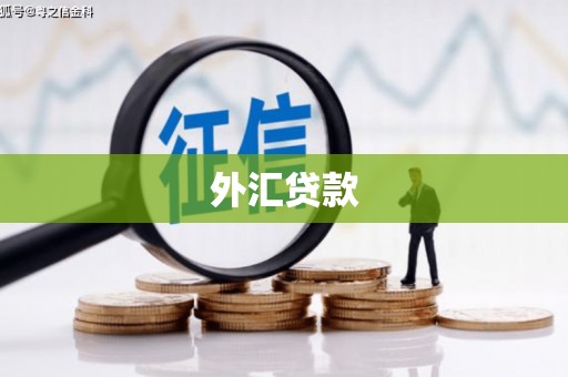 南庄外汇贷款