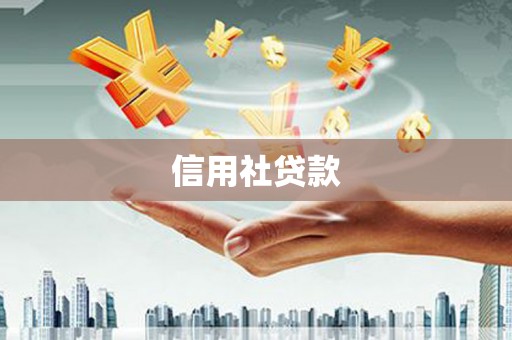 南庄信用社贷款