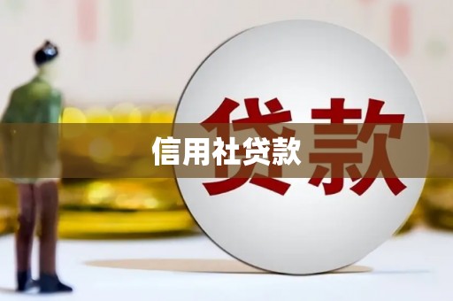 南庄信用社贷款
