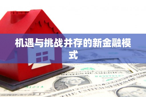 南庄机遇与挑战并存的新金融模式