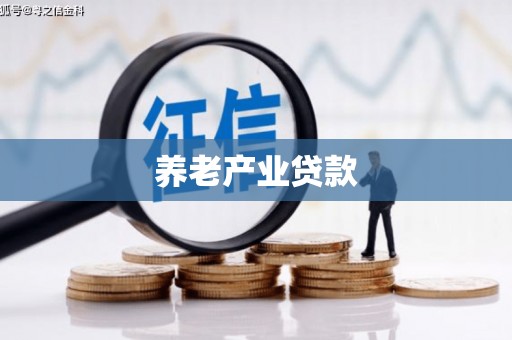 南庄养老产业贷款