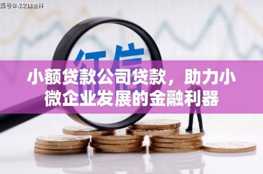 南庄小额贷款公司贷款，助力小微企业发展的金融利器
