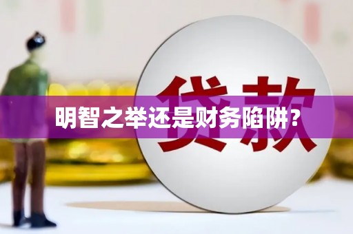 南庄明智之举还是财务陷阱？