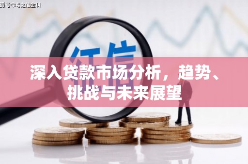 南庄深入贷款市场分析，趋势、挑战与未来展望