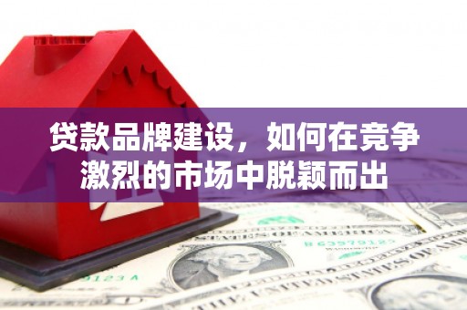 南庄贷款品牌建设，如何在竞争激烈的市场中脱颖而出