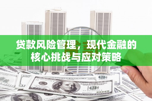 南庄贷款风险管理，现代金融的核心挑战与应对策略