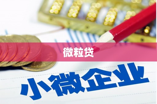 南庄微粒贷
