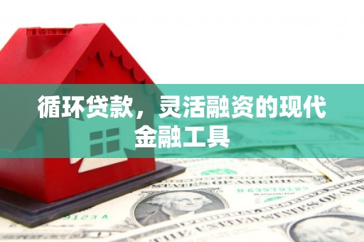 南庄循环贷款，灵活融资的现代金融工具