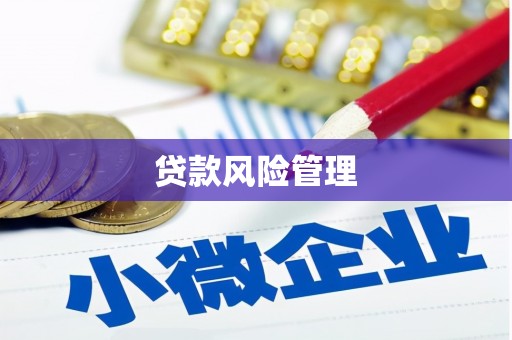 南庄贷款风险管理