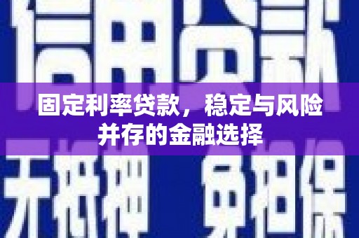 南庄固定利率贷款，稳定与风险并存的金融选择