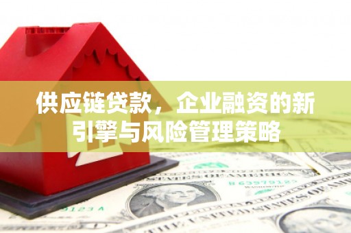 南庄供应链贷款，企业融资的新引擎与风险管理策略