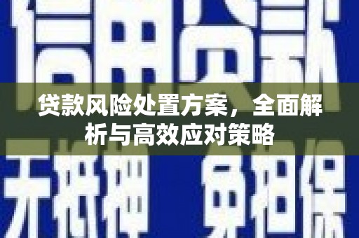 南庄贷款风险处置方案，全面解析与高效应对策略