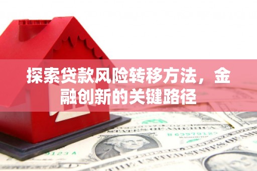 南庄探索贷款风险转移方法，金融创新的关键路径