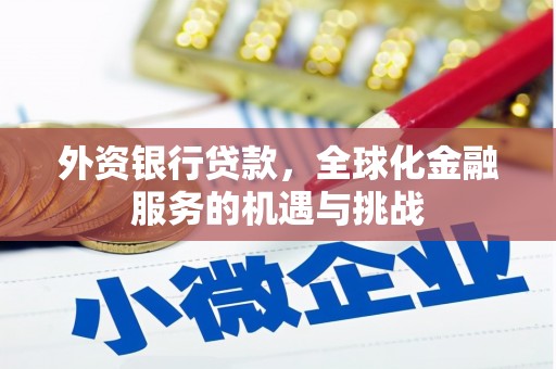 南庄外资银行贷款，全球化金融服务的机遇与挑战
