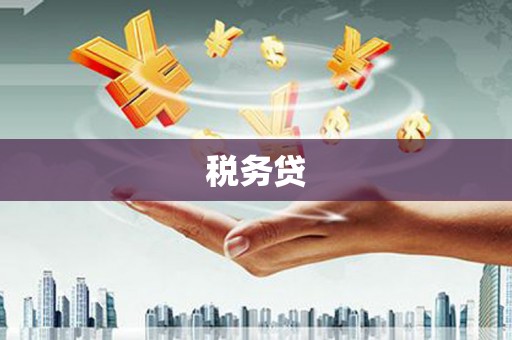 南庄税务贷