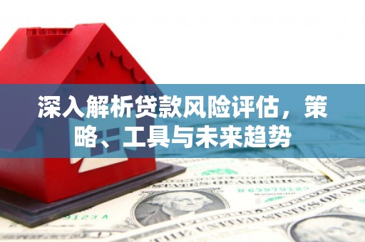 南庄深入解析贷款风险评估，策略、工具与未来趋势